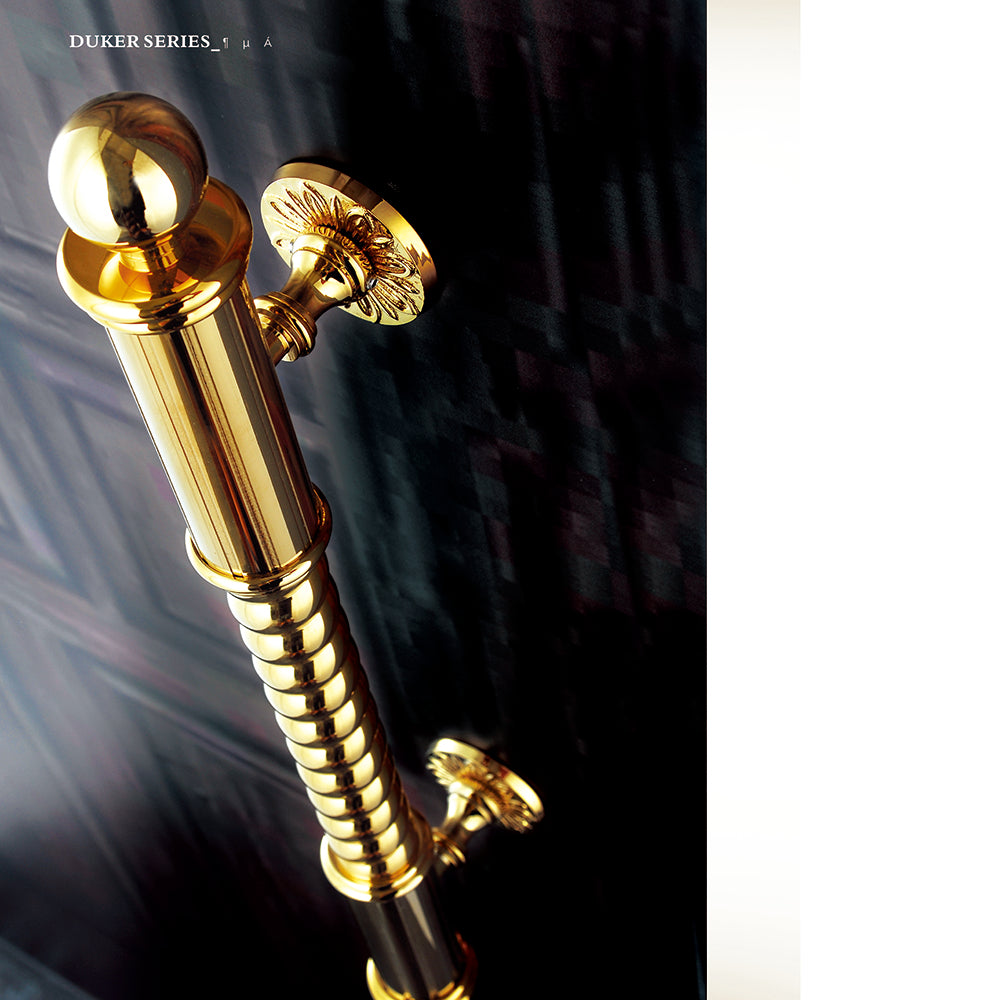 Raytel Exquisite Solid Brass Sculptured Pull Handle for Front Door RT398